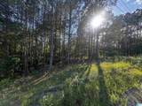 0 Mallard Point - Photo 7