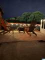 169 Guy Street - Photo 14