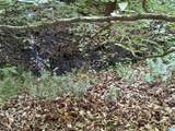 0 County Road 87 - Photo 2