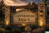 000 Copperhead Road - Photo 3