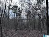 34 Acres- Mtn Constellation Drive - Photo 14