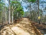 0 County Road 349 - Photo 51