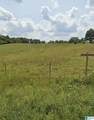  Highway 55 - Photo 1