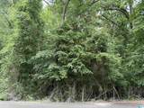 Lot 65 Ashborough Drive - Photo 3