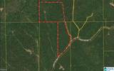 0 County Road 465 - Photo 1