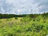 Lot 8 County Road 499 - Photo 11