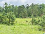 Lot 8 County Road 499 - Photo 12