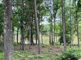 Lot 8 County Road 499 - Photo 4