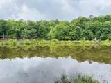Lot 8 County Road 499 - Photo 5