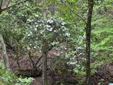0 County Road 432 - Photo 11
