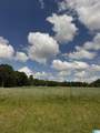 0 County Road 432 - Photo 13
