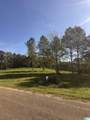0 County Road 432 - Photo 22