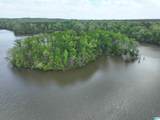 0 County Road 225 - Photo 2