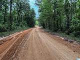 0 County Road 225 - Photo 5
