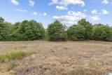 495 County Road 29 - Photo 11