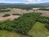 495 County Road 29 - Photo 16