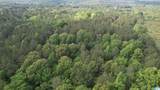 0 Armstrong Mtn Lane - Photo 13