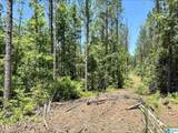 0 County Road 82 - Photo 4