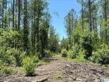 0 County Road 82 - Photo 6
