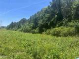 0 Highway 431 - Photo 11