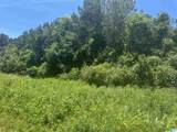 0 Highway 431 - Photo 14