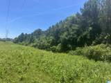 0 Highway 431 - Photo 20