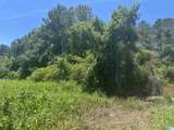 0 Highway 431 - Photo 48