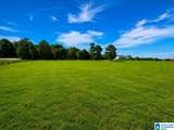 1230 County Road 46 - Photo 55