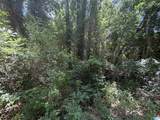 21123 Loop Road - Photo 5