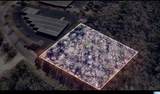 501 Mineral Trace - Photo 7