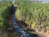 Lot 221 Shore Side Lane - Photo 13