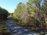 Lot 221 Shore Side Lane - Photo 15