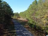 Lot 221 Shore Side Lane - Photo 16