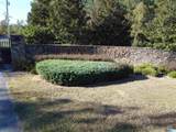 Lot 221 Shore Side Lane - Photo 42