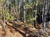 Lot 221 Shore Side Lane - Photo 49