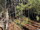Lot 221 Shore Side Lane - Photo 51