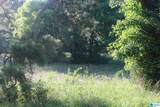 174 Poplar Springs Drive - Photo 4
