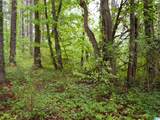 UNKN County Road 36 - Photo 14
