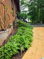 1531 Coleman Street - Photo 39
