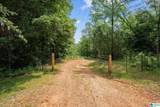 1461 County Road 499 - Photo 5