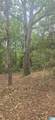 0 County Road 82 - Photo 10