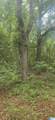 0 County Road 82 - Photo 7