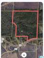 7218 County Road 26 - Photo 10