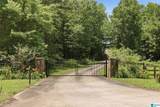321 Highway 7 - Photo 11