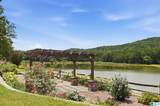 321 Highway 7 - Photo 91