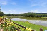 321 Highway 7 - Photo 92