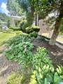 17 Christopher Way - Photo 27