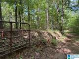 0 Coosa County Road 29 - Photo 1