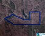 0 Coosa County Road 29 - Photo 2