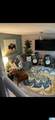 5073 Falling Creek Lane - Photo 3